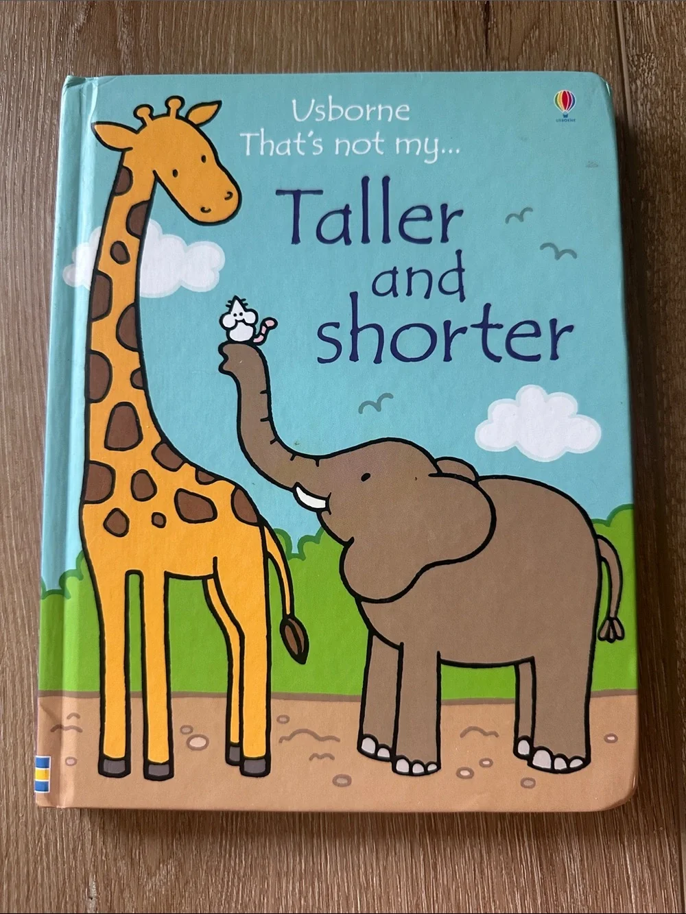 Usborne Taller and Shorter Board Book - Light Blue